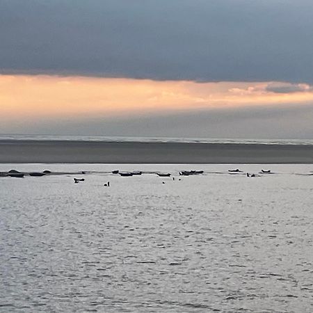 Gite Chti Picard Parking Prive Gratuit Et 100M De La Plage Berck Екстериор снимка